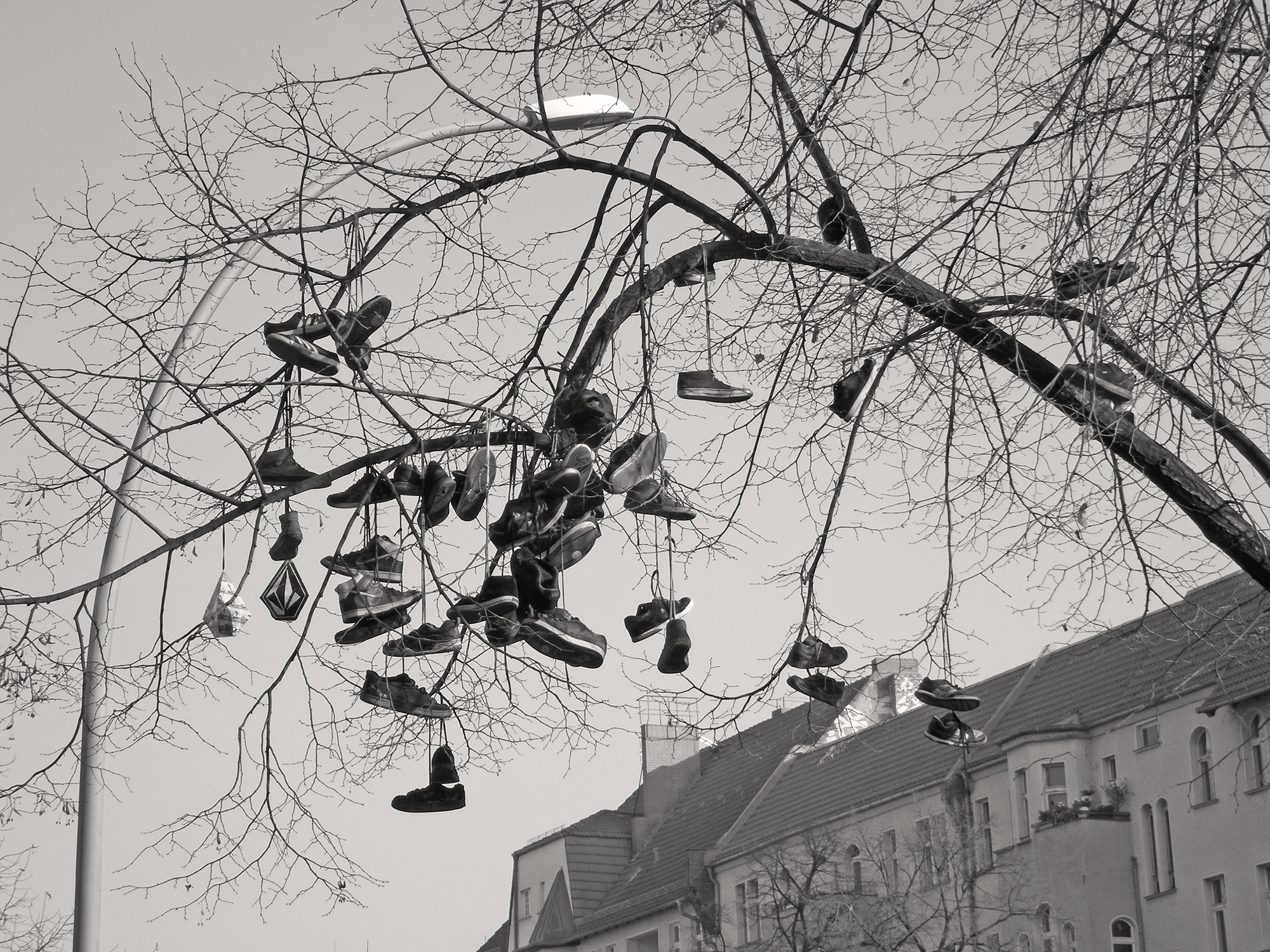 Christoph Radke, Berlin, Prenzlauer Allee, Schuhe im Baum, 2011
